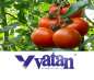 Многослойная плёнка для теплиц. Vatan Plastik. Турция